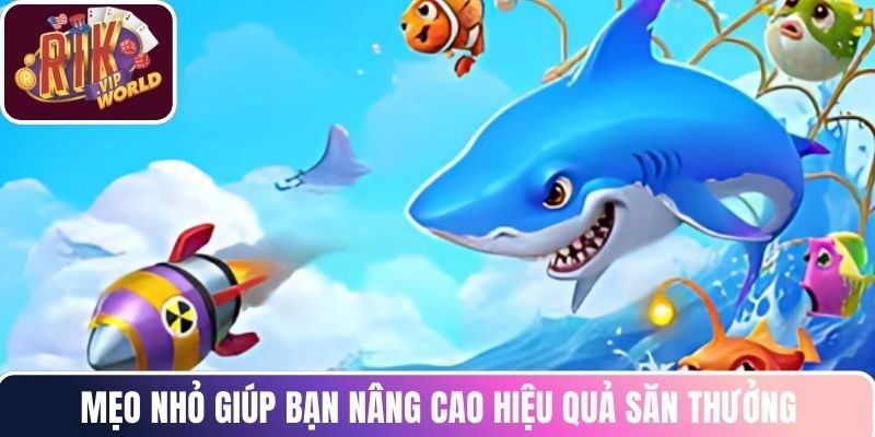 Mẹo nhỏ giúp bạn nâng cao hiệu quả săn thưởng